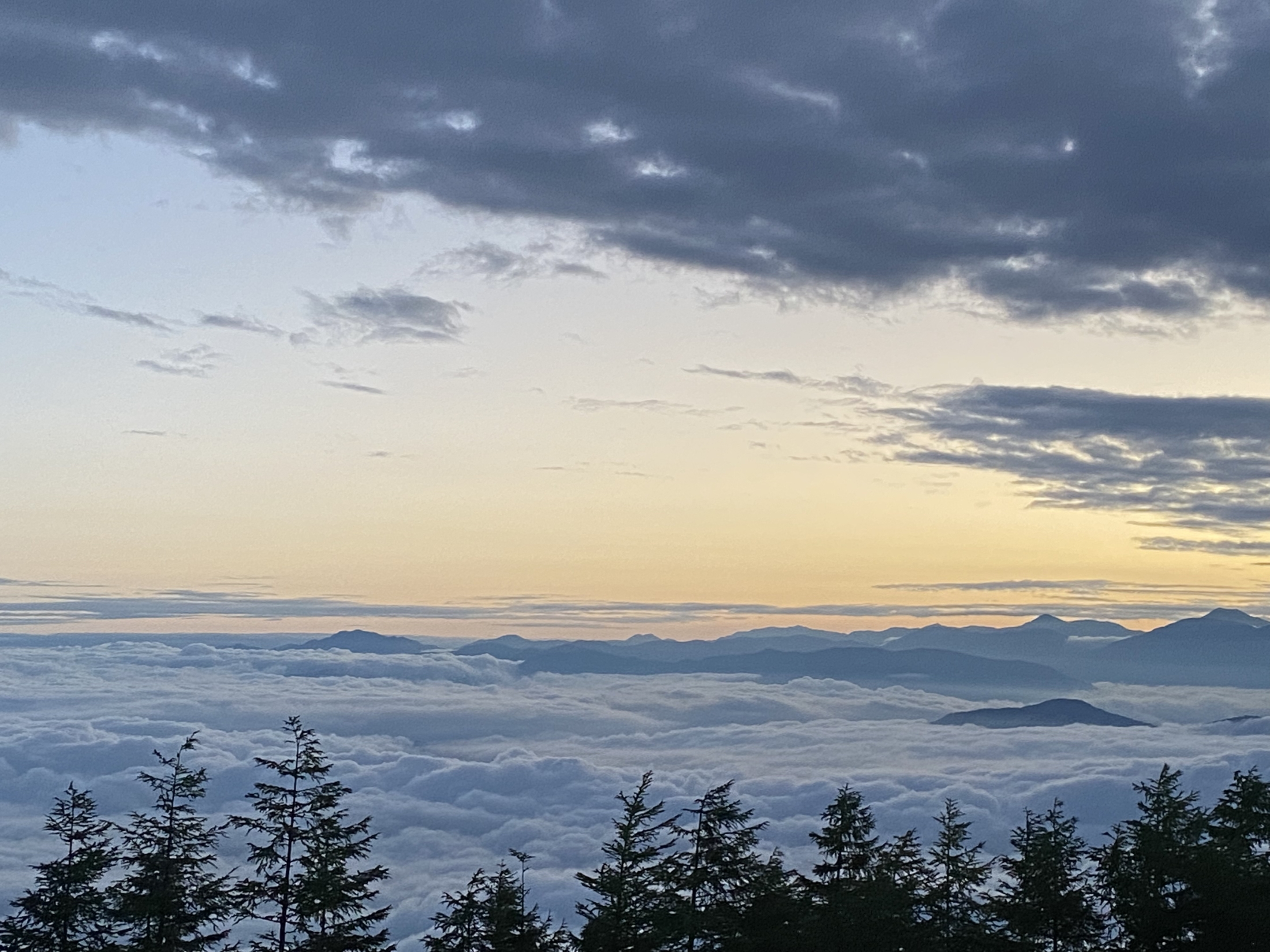 雲海