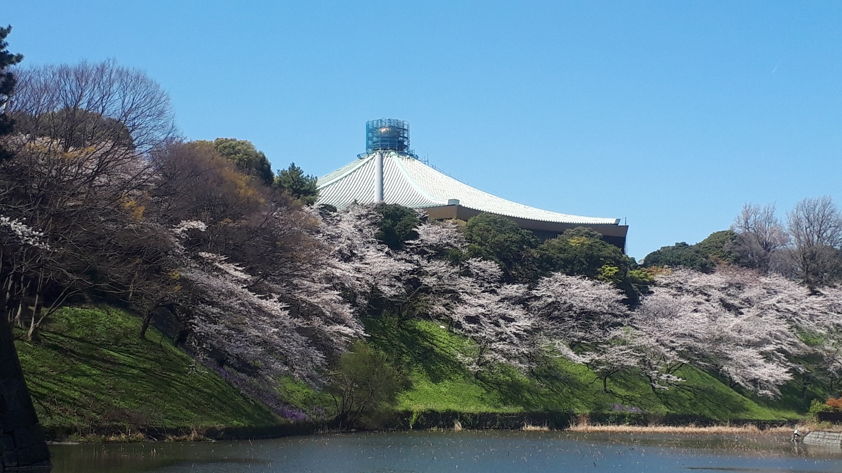 武道館