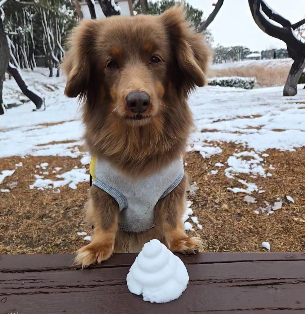 
    </div>
    <!--//blogArea-->

    <p class=