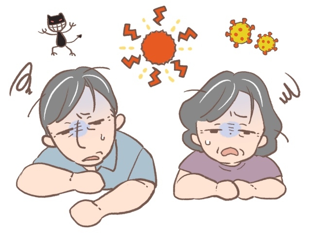 夏のインフル