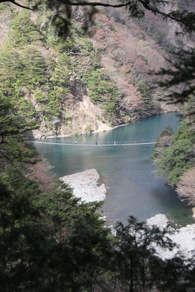 夢の吊り橋