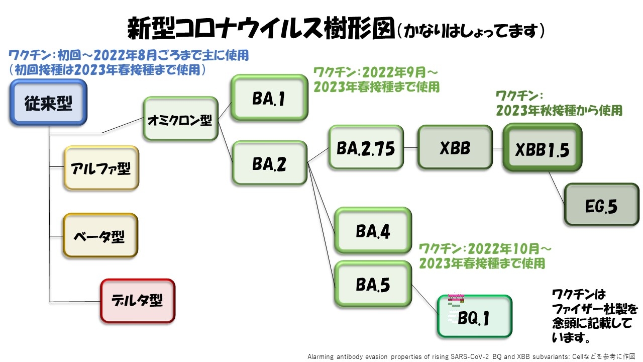 コロナ系統