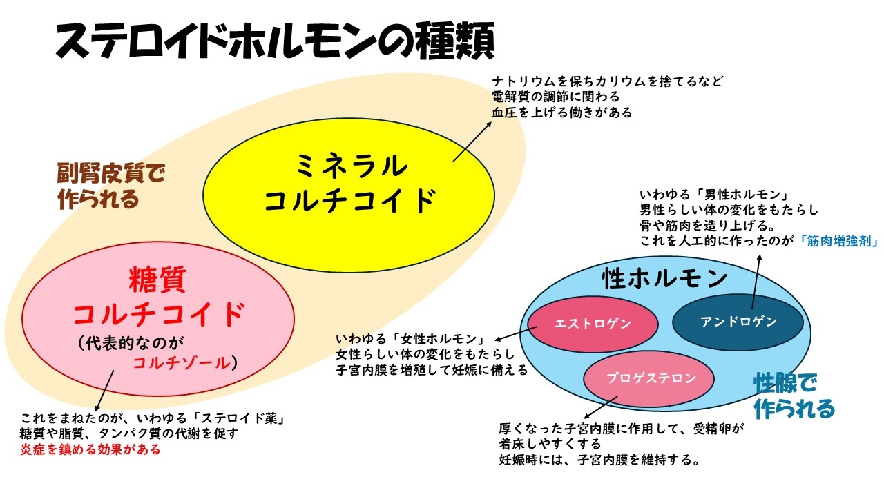 ステロイド
