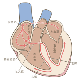 洞結節