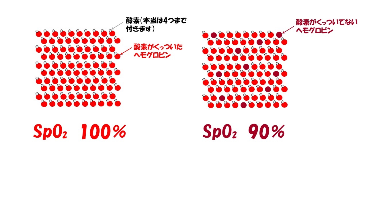 パルスオキシメータの原理