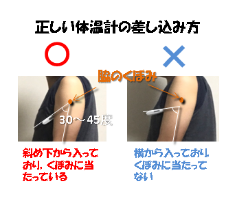 体温の測定方法